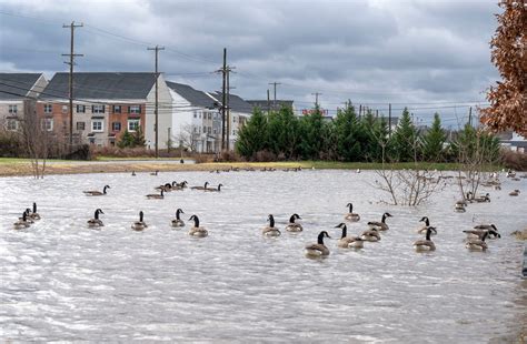 Bucks County Faces Flooding In Heavy Storm