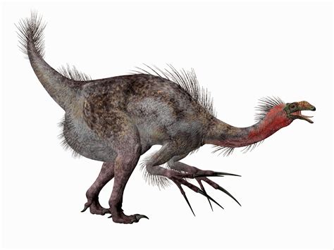 10 Facts About Therizinosaurus The Reaping Lizard