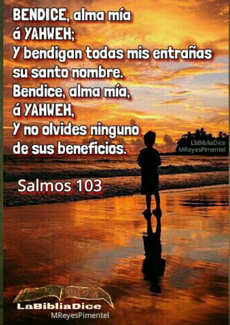 Salmo 103 1 5 Salmos Salmos De David Palabra De Dios Biblia