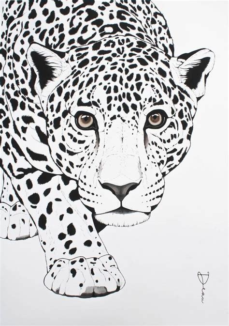 Best 12 leopard face drawing for kids in 2020. – Artofit