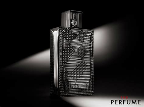 Review N C Hoa Burberry Brit Rhythm Intense Eau De Toilette Ml