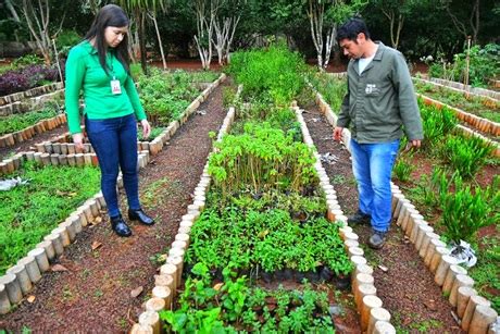 Vivero de Itaipú produjo más de 1 000 000 de plantines de especies