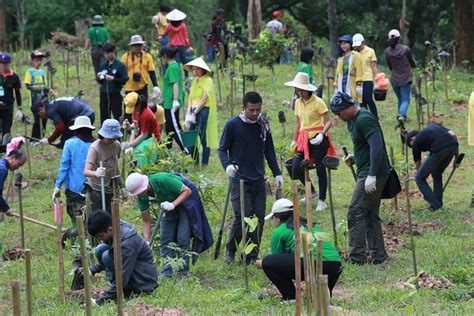 How Protecting Forests And Their Communities Can Prevent The Next Outbreak