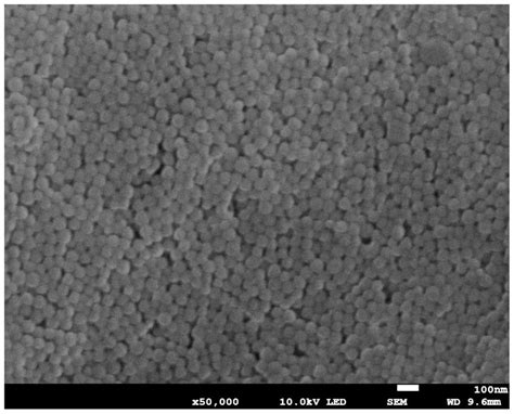 Method For Preparing Self Assembled Microcapsule Eureka Patsnap