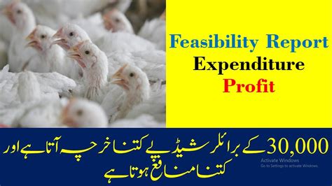 Feasibility Report Of Broiler Expenditure And Profit In Poultry Youtube