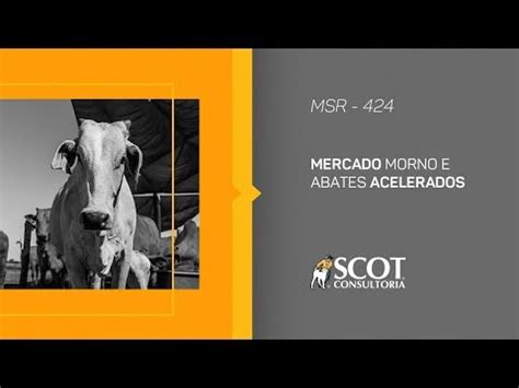 Mercado Morno E Abates Acelerados Scot Consultoria Portal Do