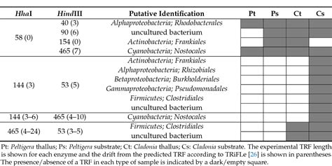 Table 1 From Nitrogen Fixing Bacteria Associated With Peltigera