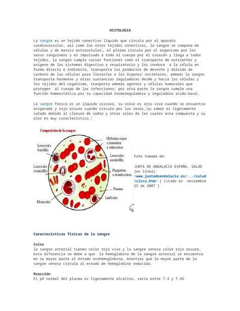 DOCX Histologia Sangre DOKUMEN TIPS