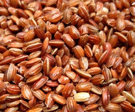 Top 10 Health Benefits Of Red Rice