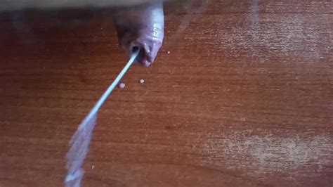 Sborro Free Gay Porn Video E4 XHamster