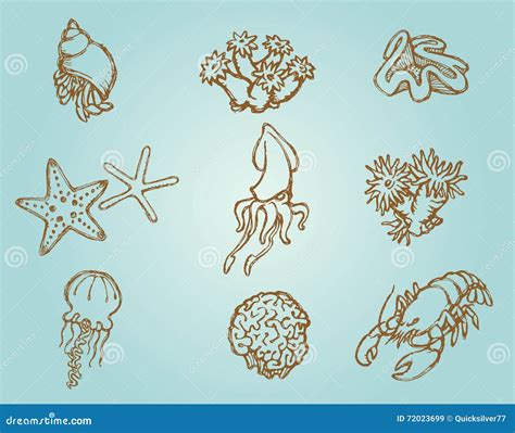 Sea Life Sketch Set Stock Vector Illustration Of Grunge 72023699