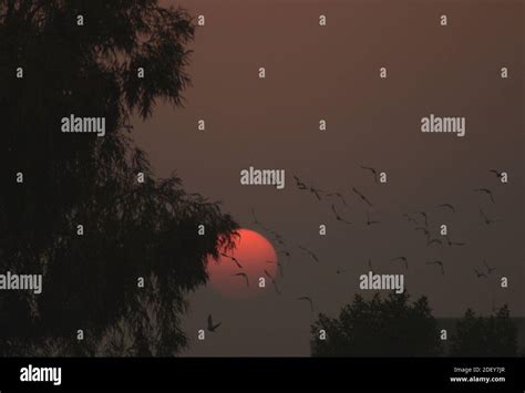 Beautiful Half Sun Setting Sunset Stock Photo Alamy