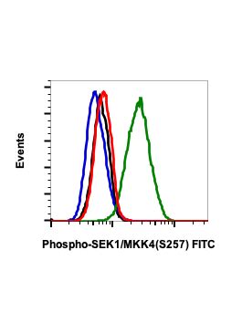 Phospho SEK1 MKK4 Ser257 C5 Rabbit MAb FITC Conjugate Abwiz Bio