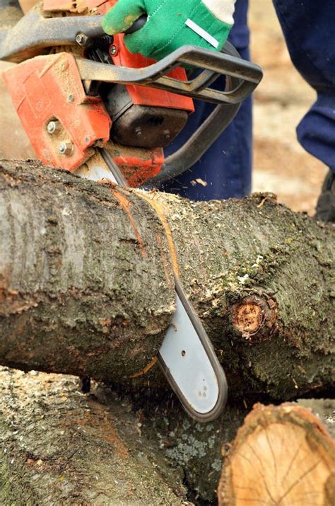 Detail of the Chainsaw Cutting the Wooden Log Stock Image - Image of ...