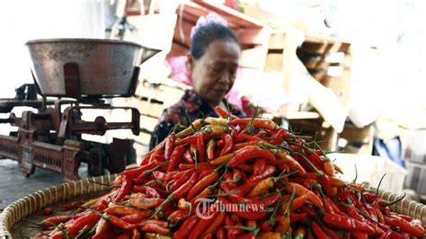 Harga Cabai Rawit Merah Tembus Rp 65800 Per Kilogram Imbas Naiknya