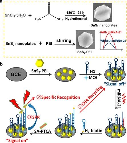 纳米人 Anal Chem基于催化发夹组装级联非金属spr效应的新型ecl传感系统超灵敏检测mirna 21