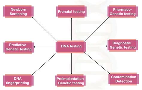 How Is Genetic Testing Done Explained