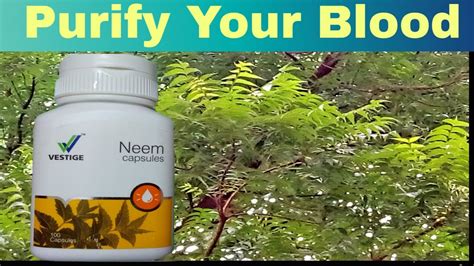 इससे त्वचा होती है सुन्दर Vestige Neem Capsules Neem Capsules Benefits Vestige Products