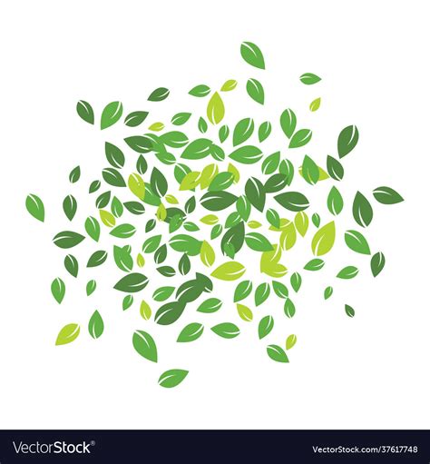 Leaves fall Royalty Free Vector Image - VectorStock