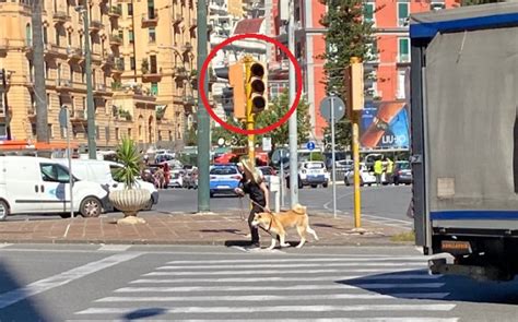 Investito E Ucciso Mentre Portava Il Cane A Spasso A Napoli I Residenti