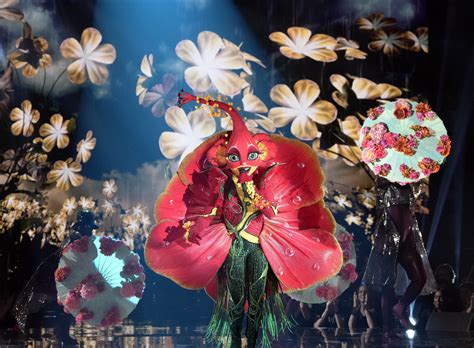 The Masked Singer Season 10 Episode 7 Recap Hibiscus Is Revealed