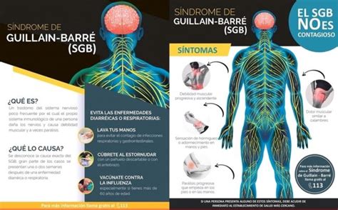 Guillian Barr C Mo Prevenir Este S Ndrome El Primer Peri Dico