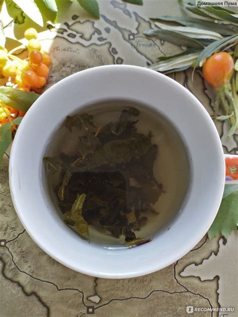 Чай улун листовой Mute МЕДОВАЯ ДЫНЯ - «☘️Сказочный чай эльфов☘️» | отзывы