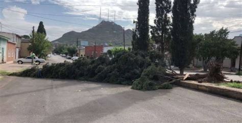 Atendió Protección Civil 4 incidentes el domingo por los fuertes