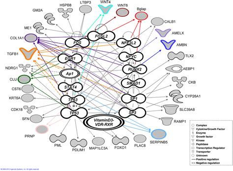 Bioinformatic Analysis Transcription Factor Analysis Performed Using