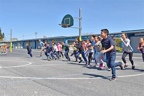 Fruit Basket | Playworks