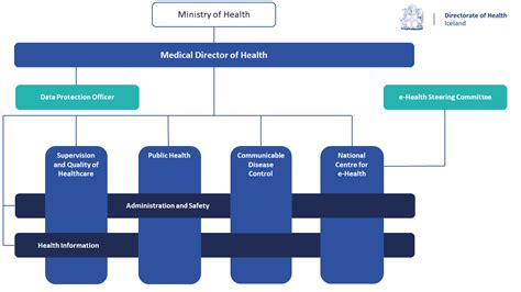 Organizational Chart The Directorate Of Health