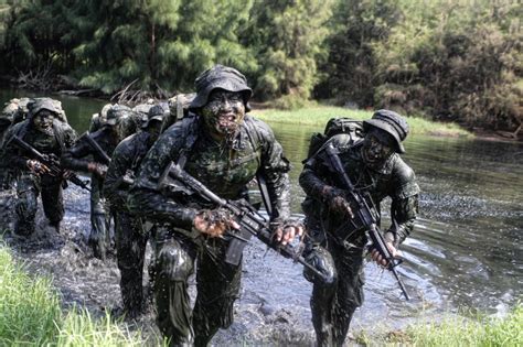 中華民國陸軍航空特戰指揮部兩棲偵察營 求真百科