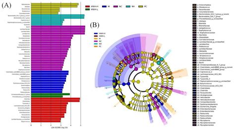 Effects Of Hwh On Key Phylotypes Of Gut Microbiota In Ctx Induced