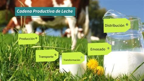 Cadena Productiva De La Leche By Adriana Tinajero On Prezi