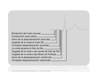 Electrocardiograma Ppt