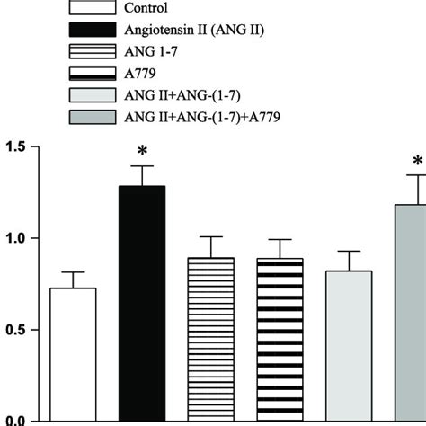 Effects Of Ang 1 7 On Ang Ii Stimulated Phosphorylation Of Mapk In