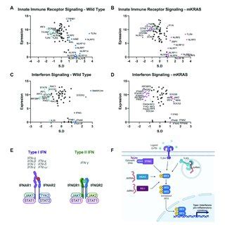 Gene Conservation In Pro Inflammatory Genes Gene Conservation Score