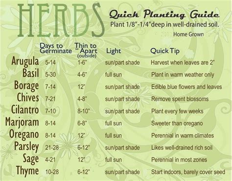 Herb Seed Germination Chart Indoor Herb Garden Outdoor Gardens