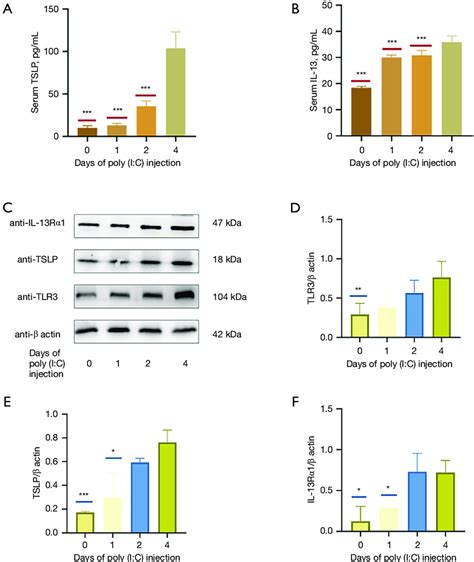 The Impact Of Polyinosinic Polycytidylic Acid Poly I C Treatment On