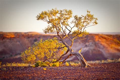 Image Gallery GNK Opals Australian Opals Natural Landmarks