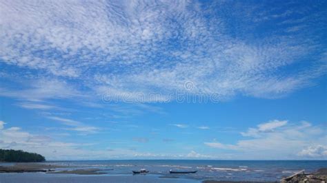 Nat Rlich Sch Ne Junge Blonde Frau In Der Natur Stockfoto Bild Von Schauen Blond