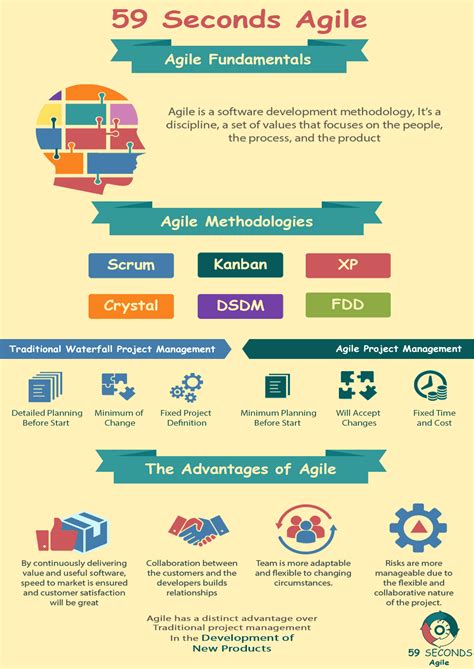 Agile Software Development Infographic