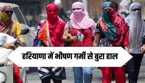 Haryana Weather हरियाणा में भीषण गर्मी से बुरा हाल नूंह में पारा