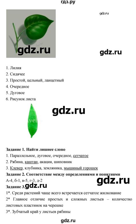 ГДЗ лабораторная работа 8 биология 6 класс тетрадь для лабораторных ...