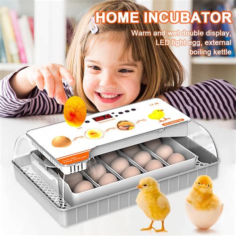 20 Egg Incubator With Humidity Display Chicken Incubator Automatic Egg Turner For Hatching