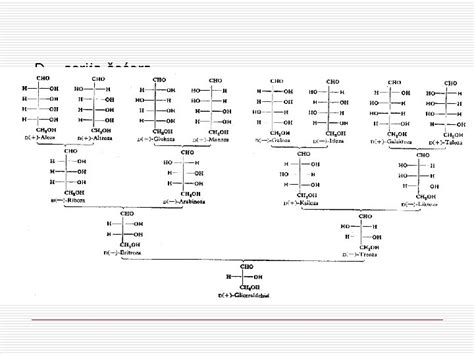 Ugljeni Hidrati Eeri Glicidi Ta Su Ugljeni Hidrati