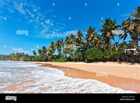 Tropical Paradise Idyllic Beach Sri Lanka Stock Photo Alamy