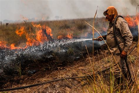 Reporte oficial por los incendios en Argentina Corrientes la única