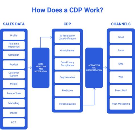 Quest Ce Quune Cdp Un Guide Complet Des Customer Data Platforms