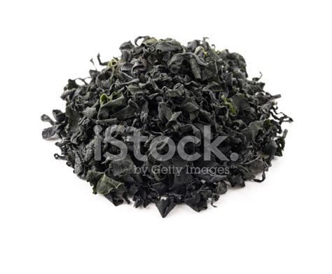 Dried Wakame Seaweed Stock Photo | Royalty-Free | FreeImages